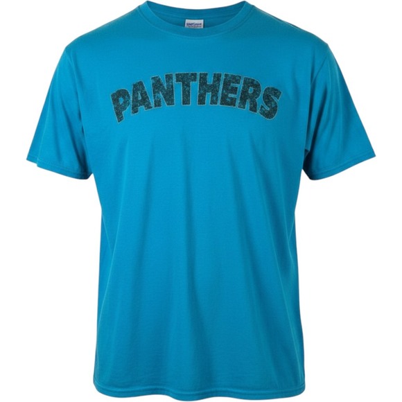 NFL Other - VTG NFL T-Shirt Men 2XL Blue Panthers Belong Carolina Football Retro Vintage VTG